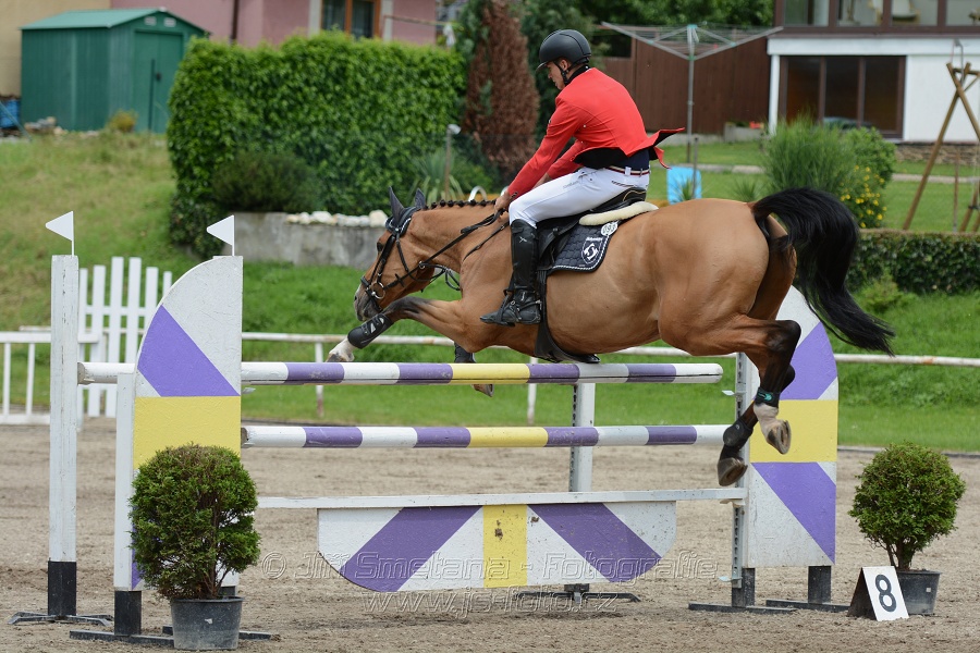 Skoková soutěž stupně “L**”, otevřená soutěž