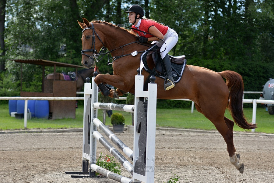 Skoková soutěž stupně „S*“, otevřená soutěž