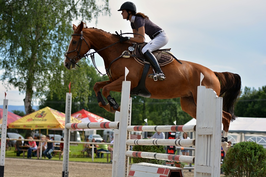 Skoková soutěž stupně „S*“, otevřená soutěž