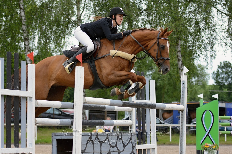 Skoková soutěž stupně “S**”, otevřená soutěž