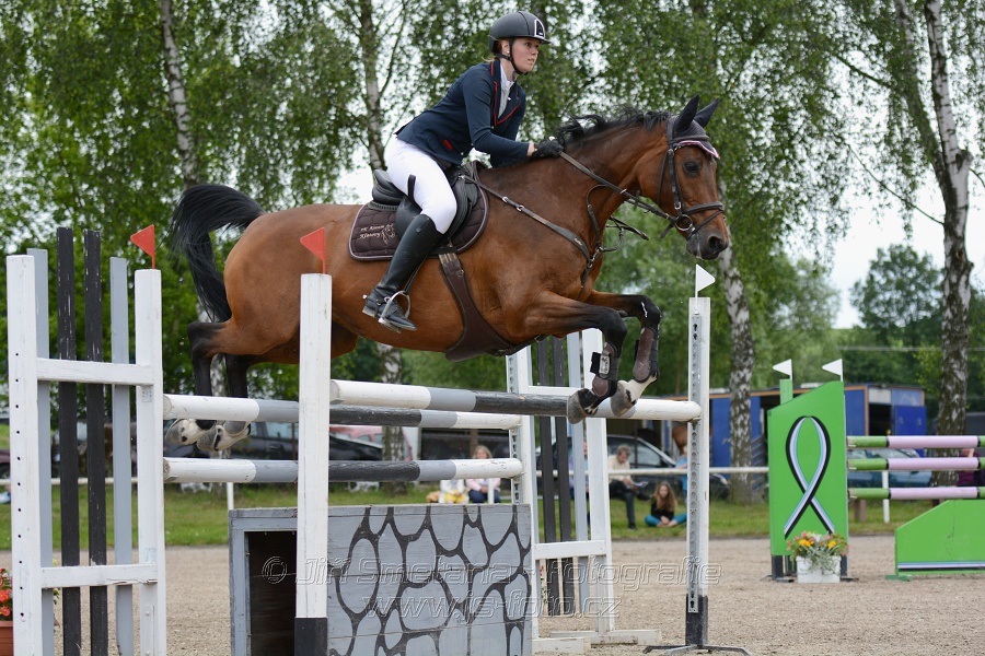 Skoková soutěž stupně “S**”, otevřená soutěž