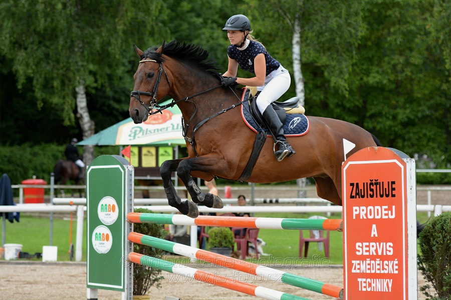 Skoková soutěž stupně “S**”, otevřená soutěž