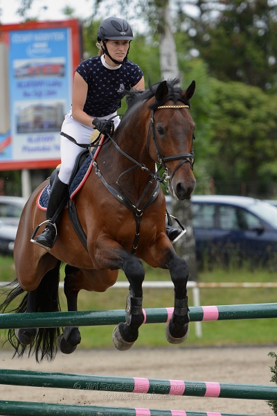 Skoková soutěž stupně “S**”, otevřená soutěž