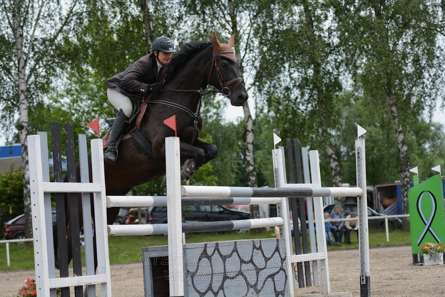 Skoková soutěž stupně “S**”, otevřená soutěž