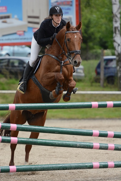 Skoková soutěž stupně “S**”, otevřená soutěž