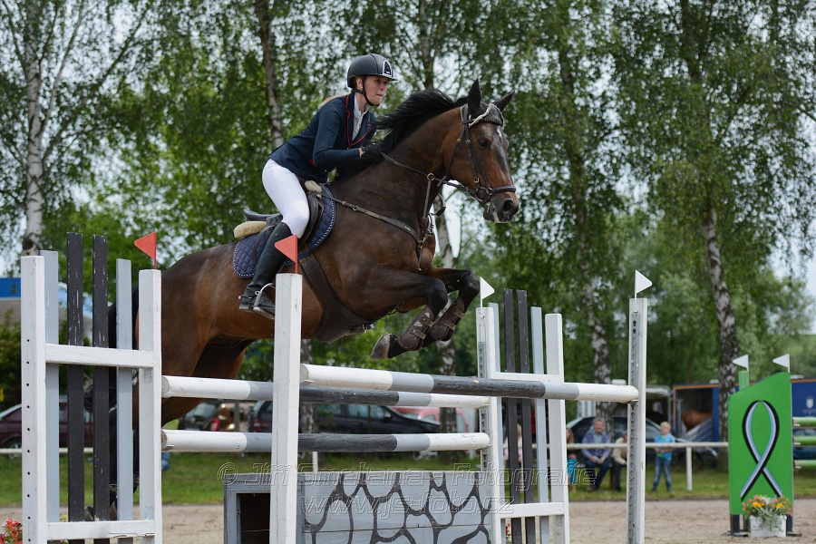 Skoková soutěž stupně “S**”, otevřená soutěž