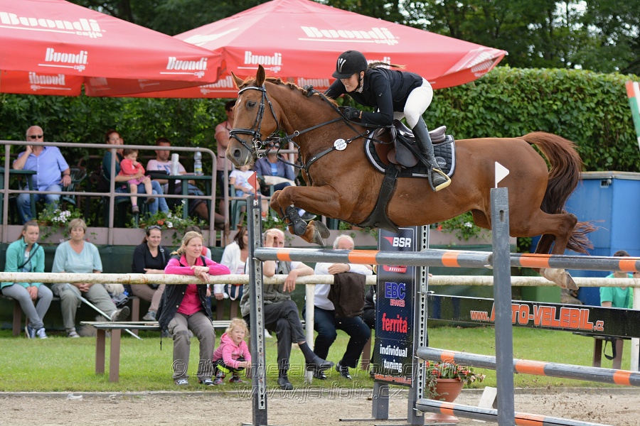 CENA KLATOV- Memoriál Tomislava Vodičky a Mirosla
