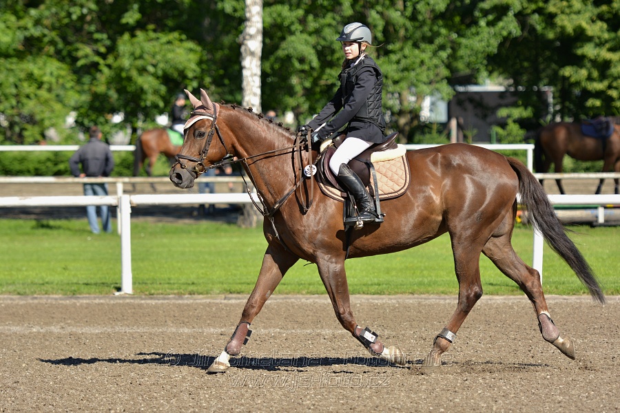 Skoková soutěž st. „Z“ na styl, 1. kolo OM - děti