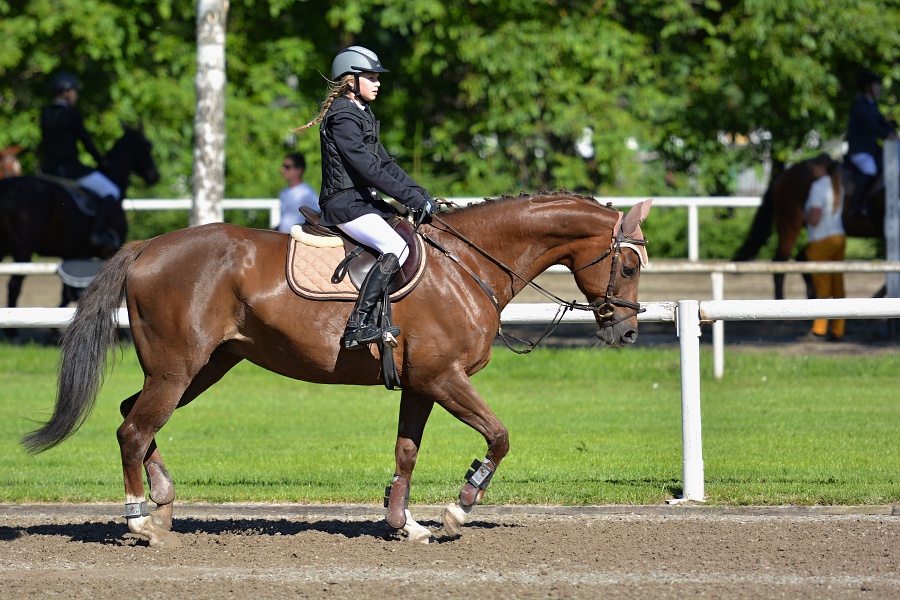 Skoková soutěž st. „Z“ na styl, 1. kolo OM - děti