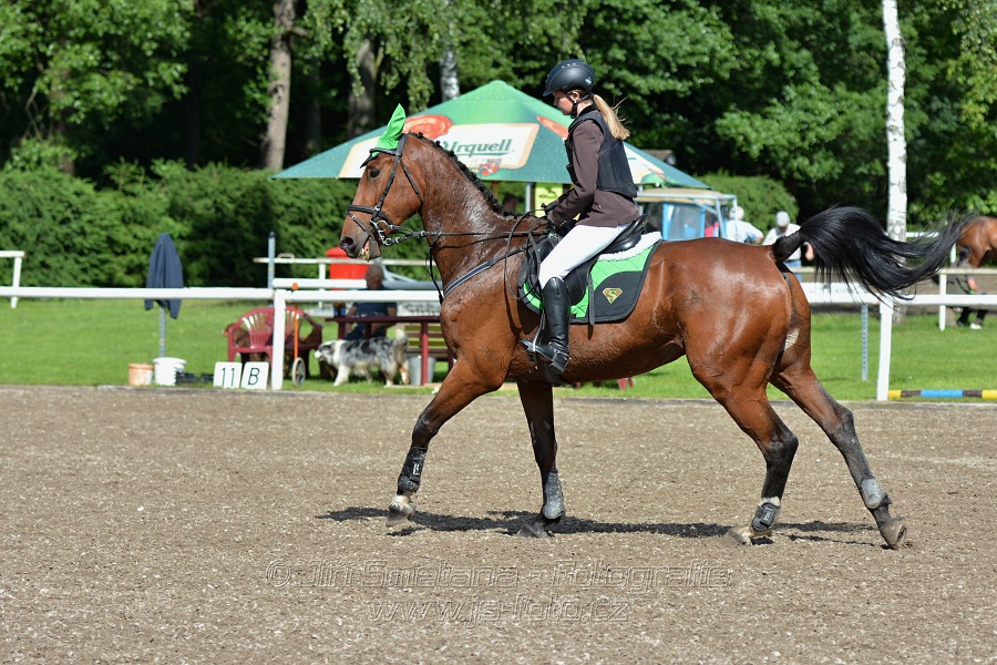 Skoková soutěž st. „Z“ – otevřená soutěž