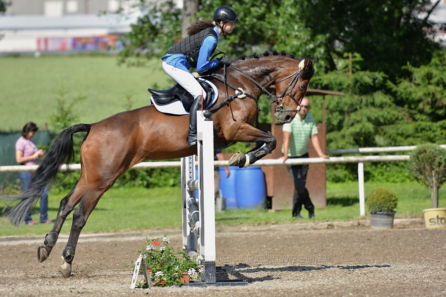Skoková soutěž st. „Z“ – otevřená soutěž