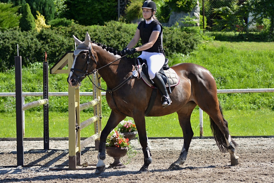 Skoková soutěž st. „Z“ – otevřená soutěž