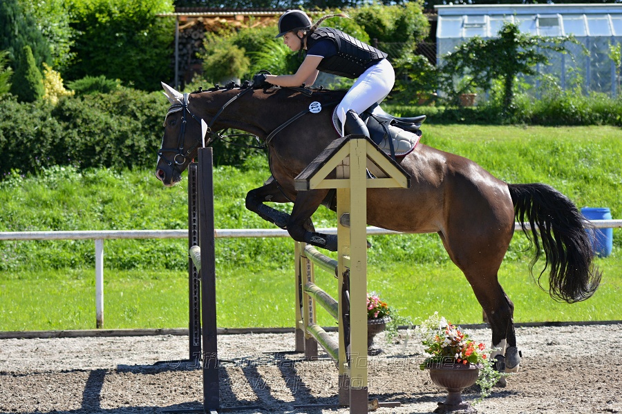 Skoková soutěž st. „Z“ – otevřená soutěž