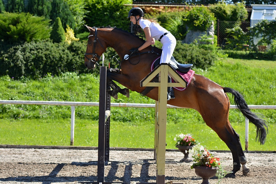 Skoková soutěž st. „Z“ – otevřená soutěž