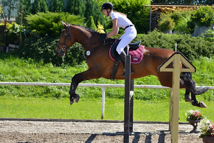 Skoková soutěž st. „Z“ – otevřená soutěž