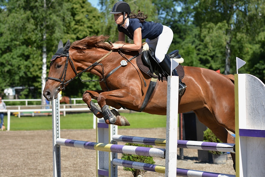Skoková soutěž st. „Z“ – otevřená soutěž