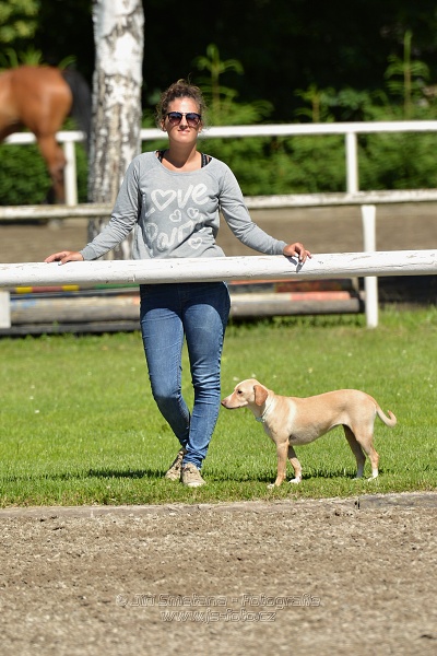 Skoková soutěž st. „Z“ – otevřená soutěž