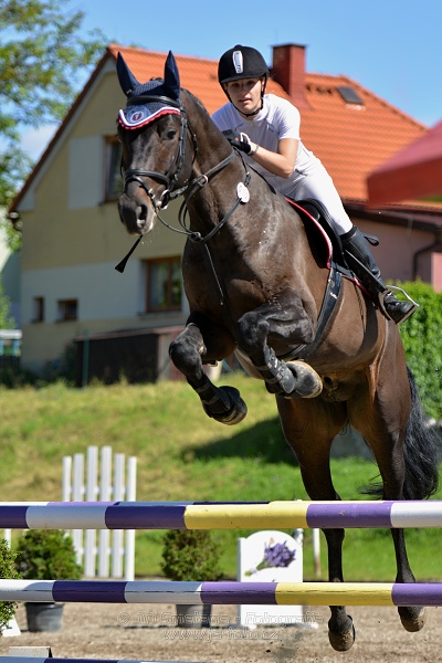 Skoková soutěž st. „Z“ – otevřená soutěž