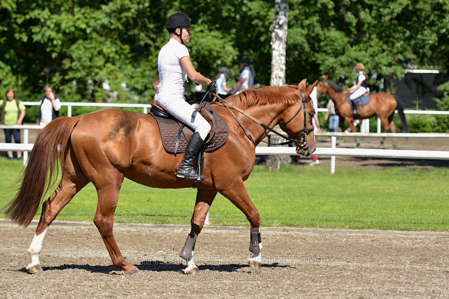 Skoková soutěž st. „Z“ – otevřená soutěž