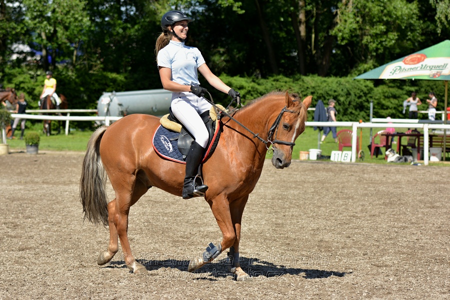 Skoková soutěž st. „Z“ – otevřená soutěž
