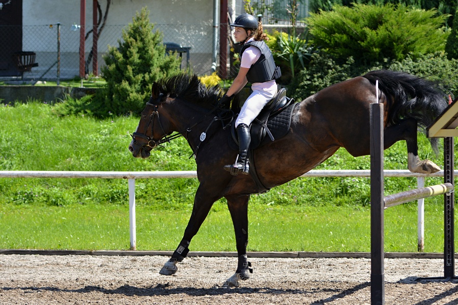 Skoková soutěž st. „Z“ – otevřená soutěž