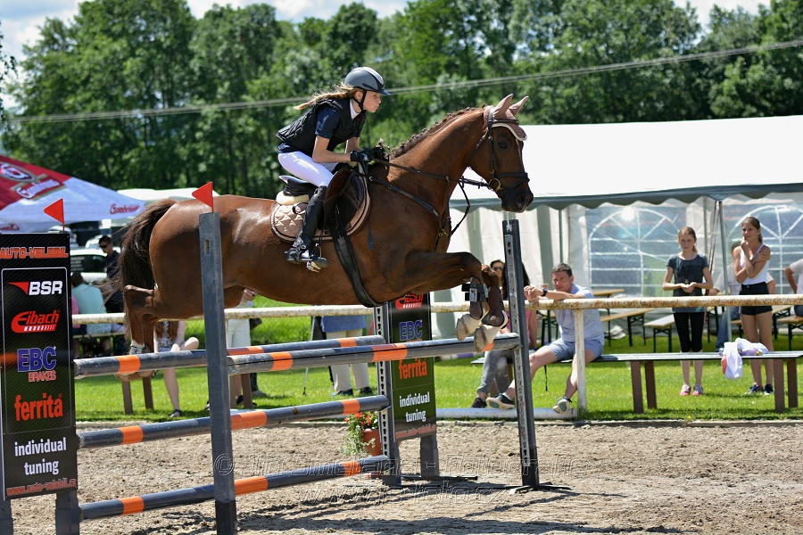 Skoková soutěž stupně „ZL“ – otevřená soutěž