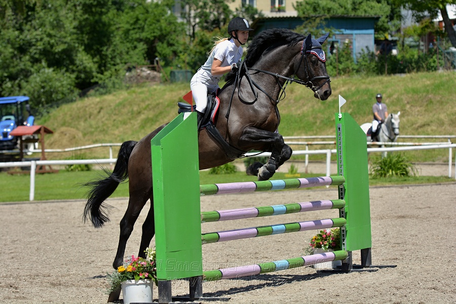 Skoková soutěž stupně „ZL“ – otevřená soutěž