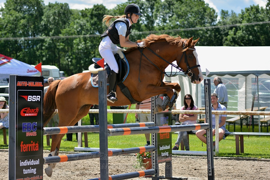 Skoková soutěž stupně „ZL“ – otevřená soutěž