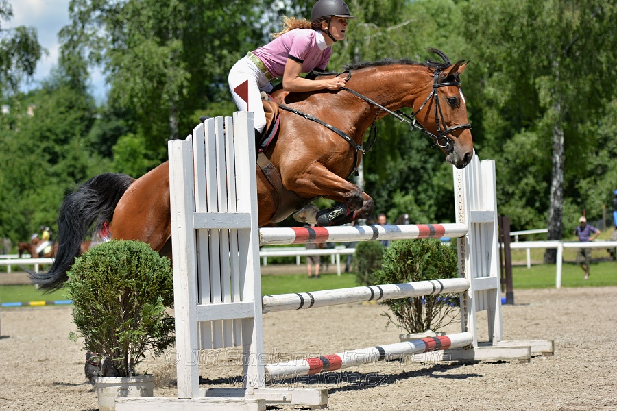 Skoková soutěž stupně „ZL“ – otevřená soutěž