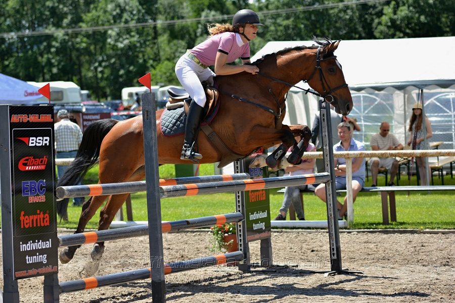 Skoková soutěž stupně „ZL“ – otevřená soutěž