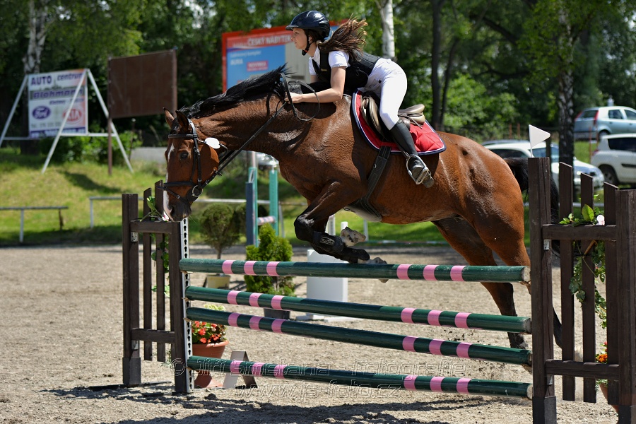 Skoková soutěž stupně „ZL“ – otevřená soutěž
