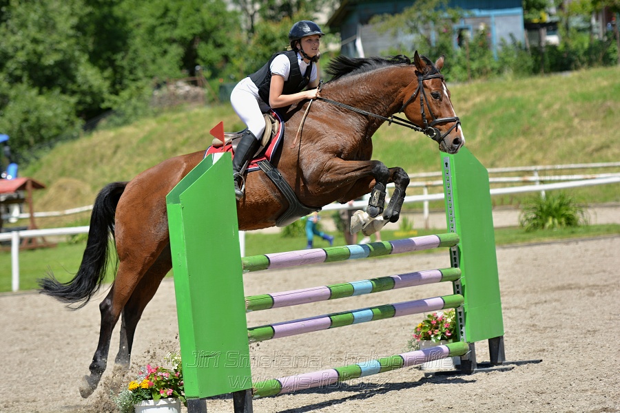 Skoková soutěž stupně „ZL“ – otevřená soutěž