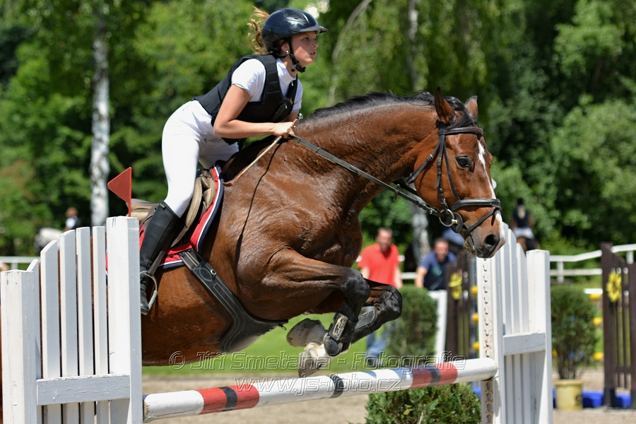 Skoková soutěž stupně „ZL“ – otevřená soutěž