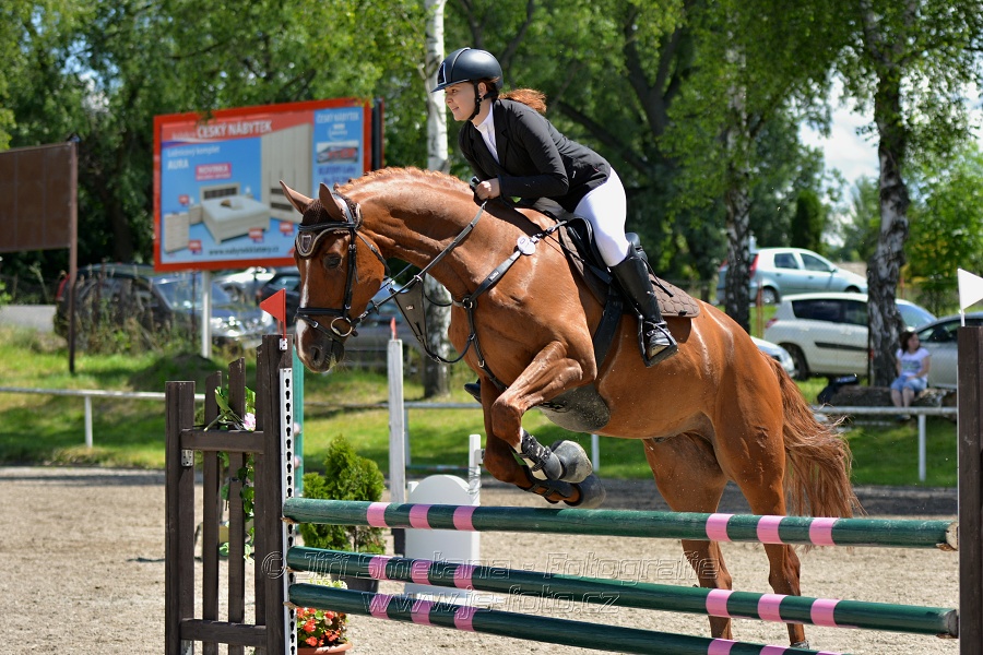 Skoková soutěž stupně „ZL“ – otevřená soutěž