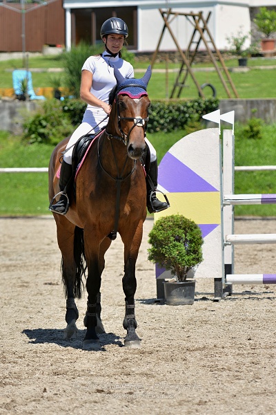 Skoková soutěž stupně „ZL“ – otevřená soutěž