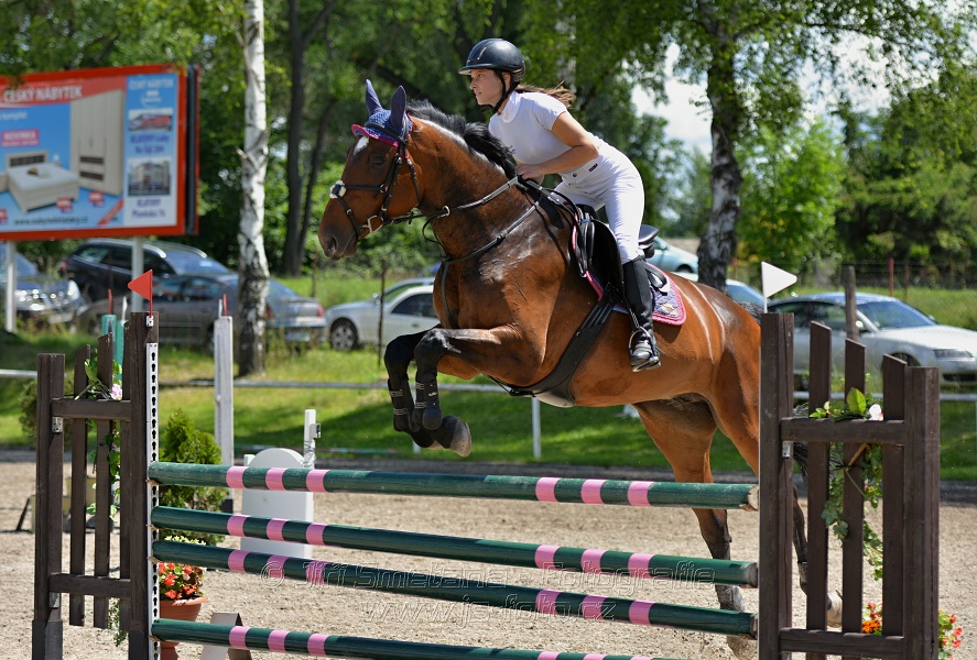 Skoková soutěž stupně „ZL“ – otevřená soutěž