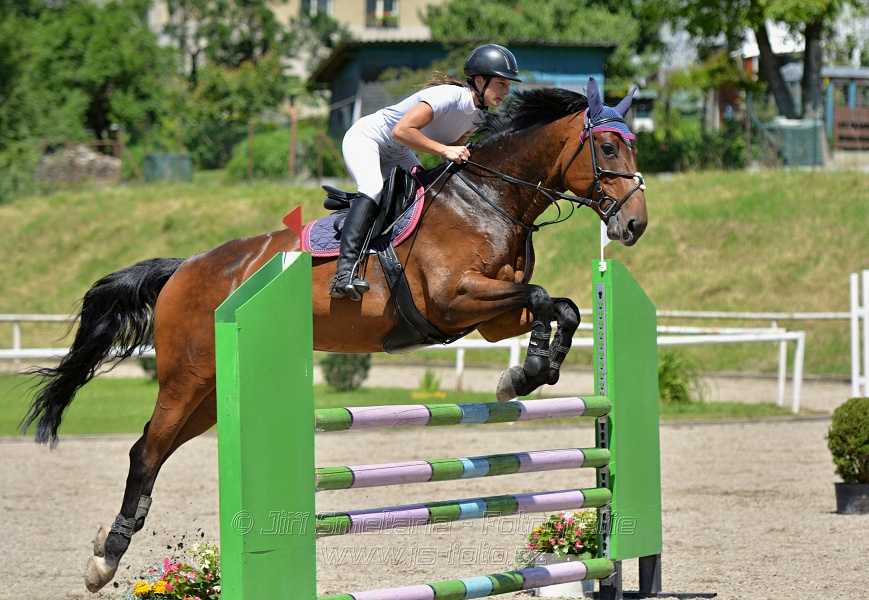 Skoková soutěž stupně „ZL“ – otevřená soutěž