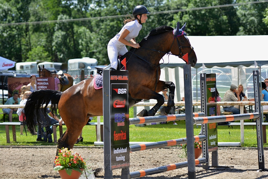 Skoková soutěž stupně „ZL“ – otevřená soutěž