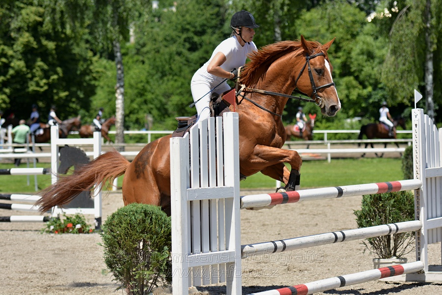 Skoková soutěž stupně „ZL“ – otevřená soutěž