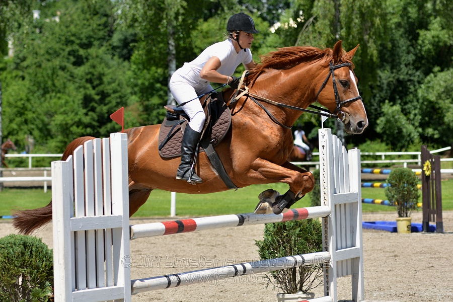 Skoková soutěž stupně „ZL“ – otevřená soutěž