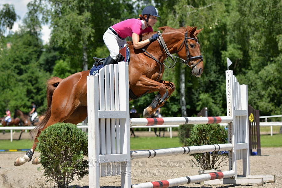 Skoková soutěž stupně „ZL“ – otevřená soutěž