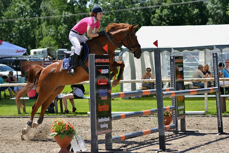 Skoková soutěž stupně „ZL“ – otevřená soutěž