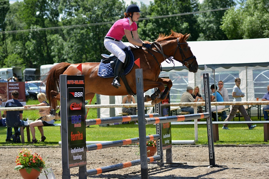 Skoková soutěž stupně „ZL“ – otevřená soutěž