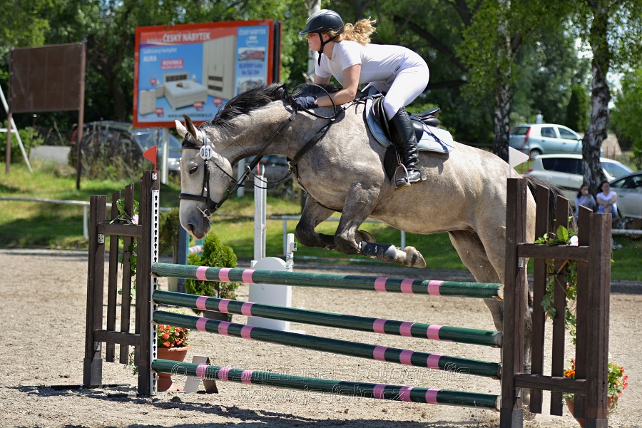 Skoková soutěž stupně „ZL“ – otevřená soutěž