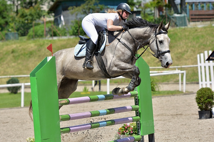 Skoková soutěž stupně „ZL“ – otevřená soutěž