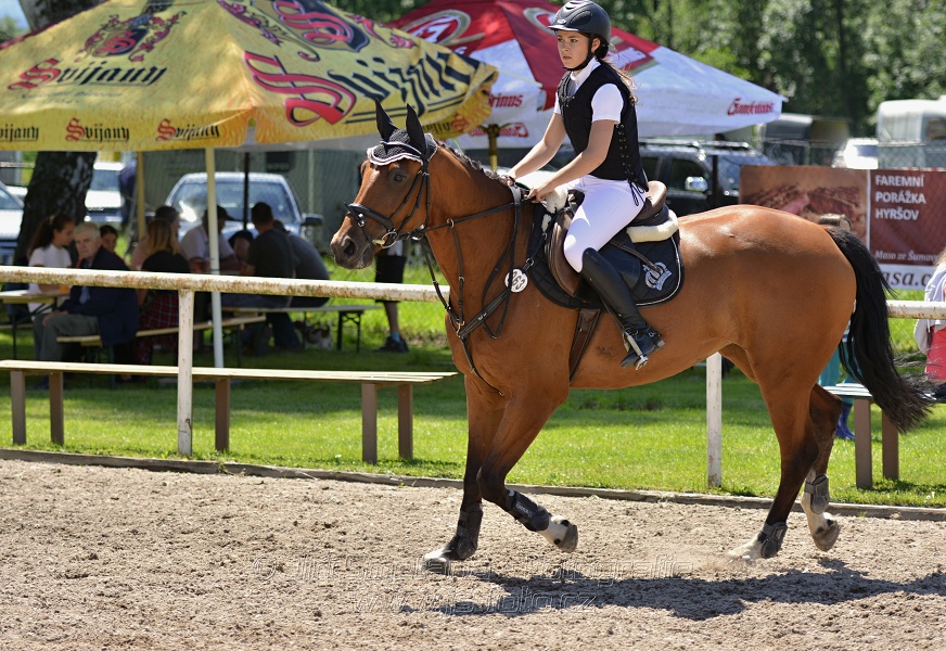 Skoková soutěž stupně „ZL“ – otevřená soutěž