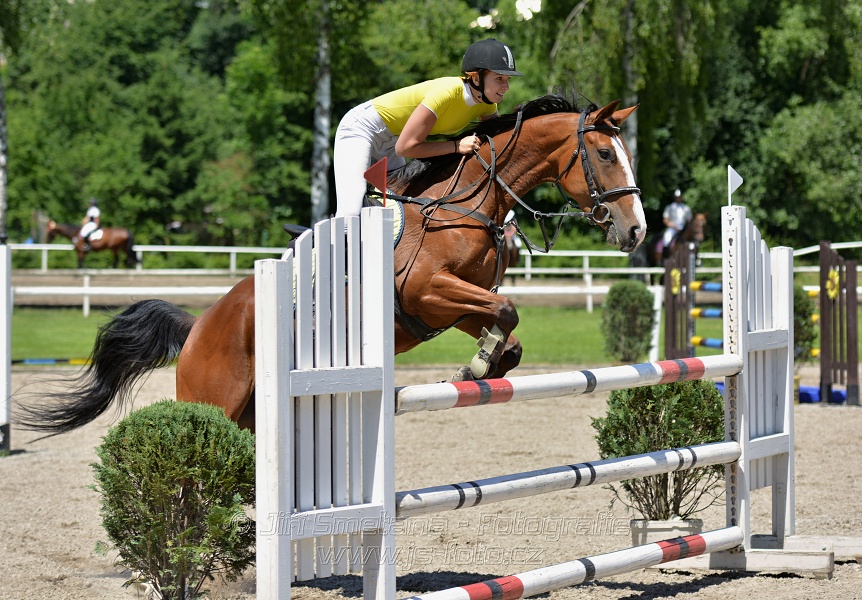 Skoková soutěž stupně „ZL“ – otevřená soutěž