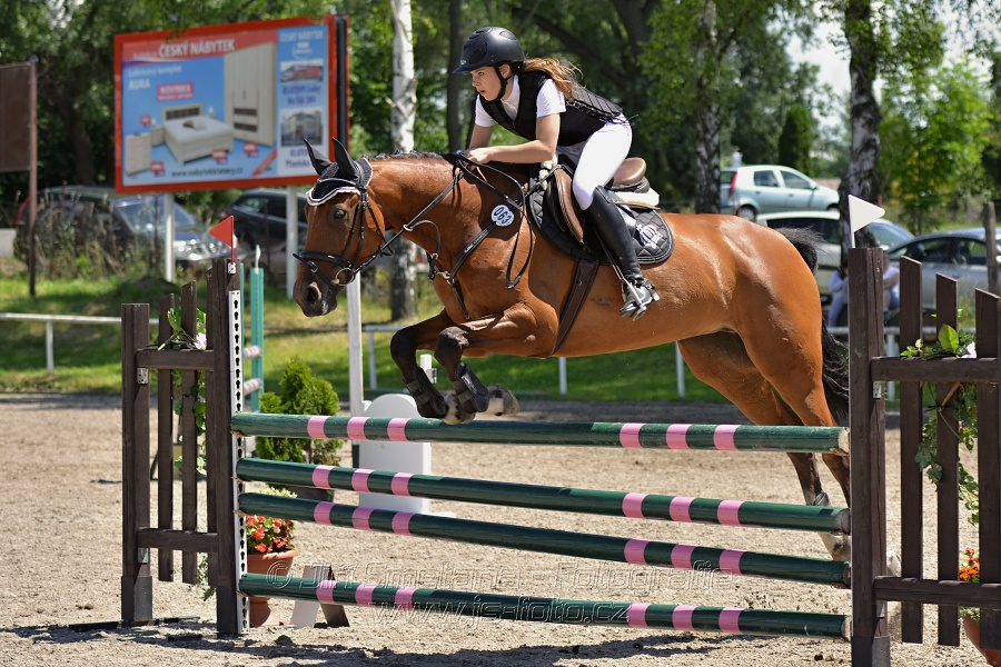 Skoková soutěž stupně „ZL“ – otevřená soutěž