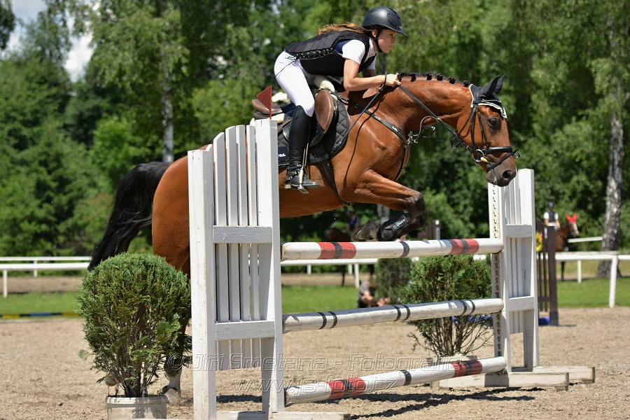 Skoková soutěž stupně „ZL“ – otevřená soutěž