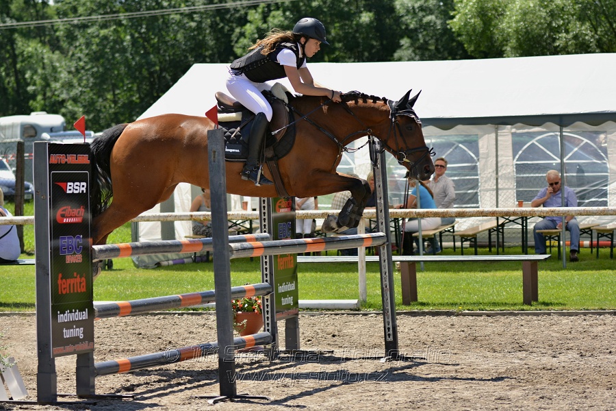 Skoková soutěž stupně „ZL“ – otevřená soutěž
